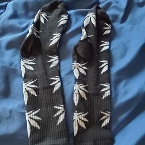 🌳 Socks (Size 6-12)